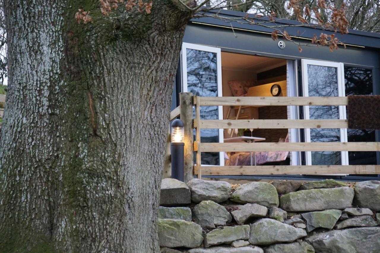 The Fox Den Lägenhet Rhayader Exteriör bild